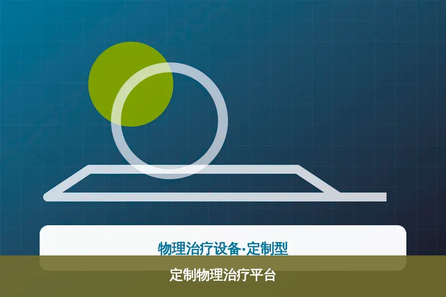 定制物理治疗平台产品示意图